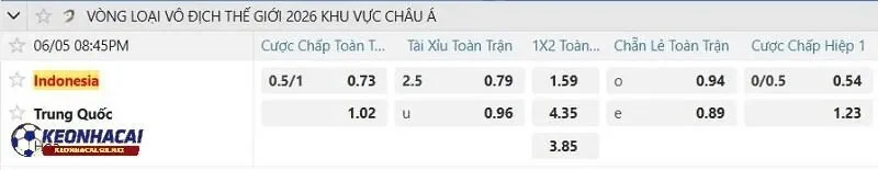 Tỷ lệ soi kèo nhà cái Indonesia vs Trung Quốc